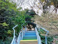 -佛山华盖山公园