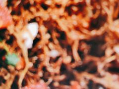 -金塔傣乡·云南民族特色菜·傣味手抓饭(金瓦路店)