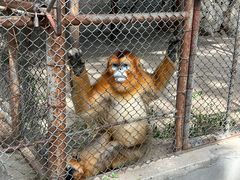 -哈尔滨北方森林动物园