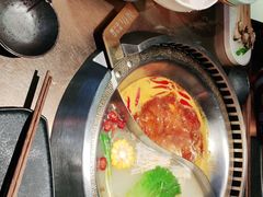 -辣伍鲜毛肚老火锅(元一店)