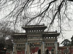 -北陵公园