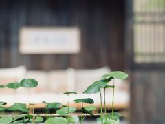 -法云安缦酒店