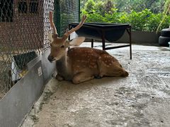 -南宁荔园维景国际酒店·荔园中餐厅