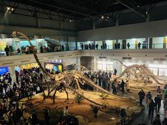 -自贡恐龙博物馆