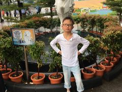 -无招牌海鲜餐厅(怡丰城店)