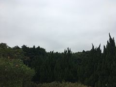 -南沙蒲洲花园