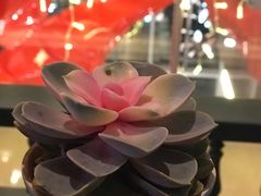 -simply thai天泰(静安嘉里中心店)