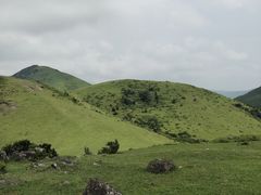 景点-大姆山草场