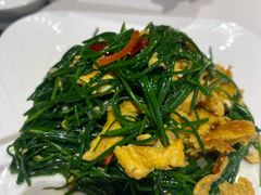 -阿西娅食府(中关村店)