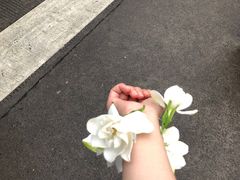 -老字号怡玺·藿香雅鱼(20年雅安店)