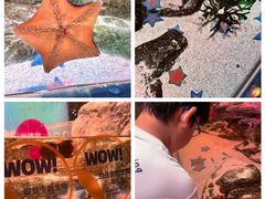 -沈阳海洋探索中心