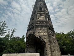 -上海佘山国家森林公园天马山园