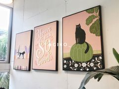 -有猫主题·治愈系猫咖(曾厝垵店)