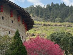 -福建土楼(南靖)景区