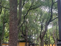 -西园戒幢律寺