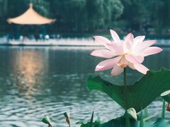 -陶然亭公园