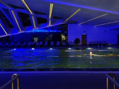 -北京威斯汀酒店游泳健身中心