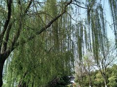 -西安汉城湖景区