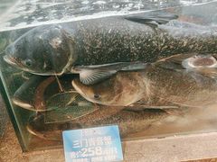 -上名堂·鱼头好吃(体育场路店)