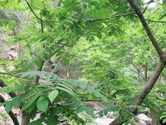 -黑龙潭风景区