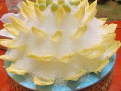 出水芙蓉-宋宴(虎跑店)