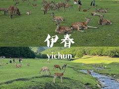 -五营国家森林公园