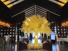 -时光吧·大堂吧·丽江和府洲际度假酒店