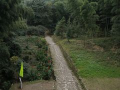 -仙霞关景区