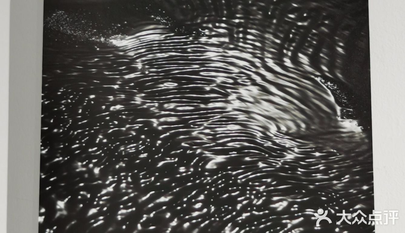 來看 Hakuchi ⁺三週年大展⁺