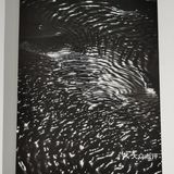 來看 Hakuchi ⁺三週年大展⁺