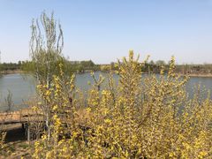-东郊湿地公园