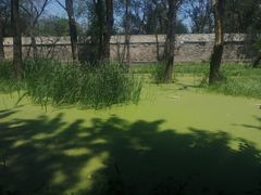 -永定河休闲森林公园