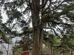 -终南山南五台景区