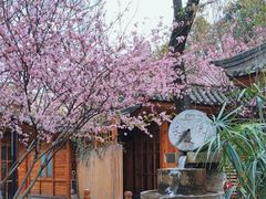 -山大王菌莊