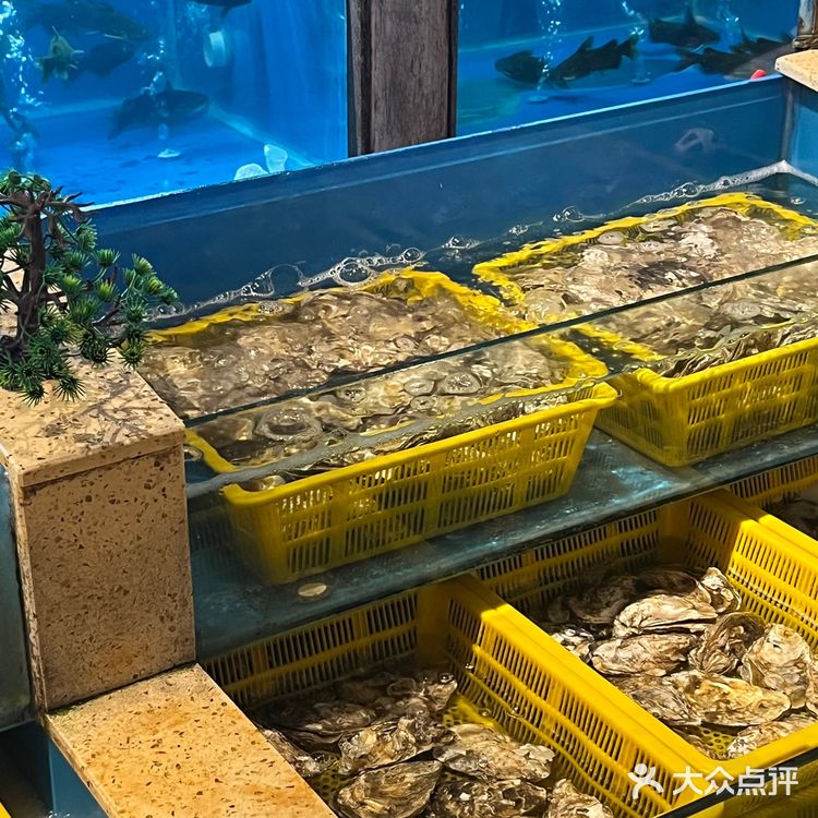 熙南大院探店｜平淡的日子也可以过成诗🌹 💯