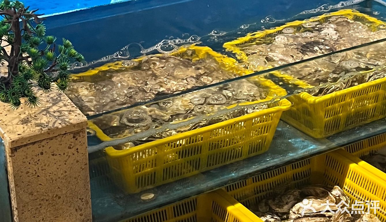 熙南大院探店｜平淡的日子也可以过成诗🌹 💯