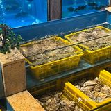 熙南大院探店｜平淡的日子也可以过成诗🌹 💯