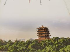 -九头鸟酒家(四道口店)