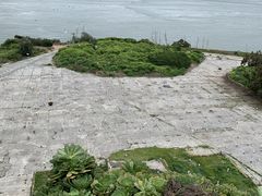 -阿尔卡特拉斯岛