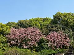-河坊街景区