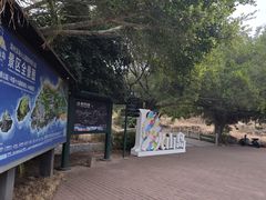 -漳州滨海火山岛自然生态风景区