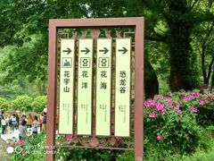 -木兰云雾山
