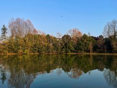 -上海海湾国家森林公园
