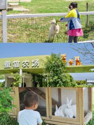 -太湖雪蚕桑文化园