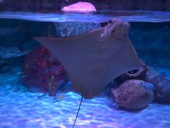 -沈阳海洋探索中心