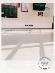 -复旦大学附属妇产科医院(杨浦院区)