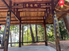 -三门江国家森林公园