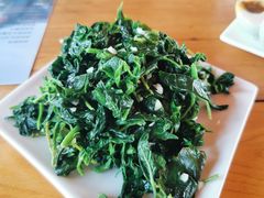 凉拌野菜-白洋淀锅里口灶台鱼