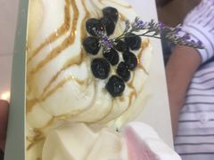 -狐狸和向日葵(北京路店)