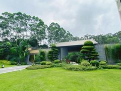 -南宁荔园维景国际酒店·荔园中餐厅